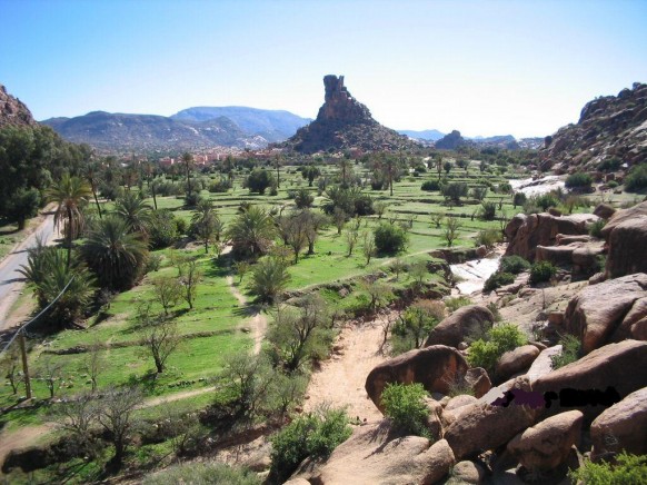 Tafraoute y sus almendros en flor